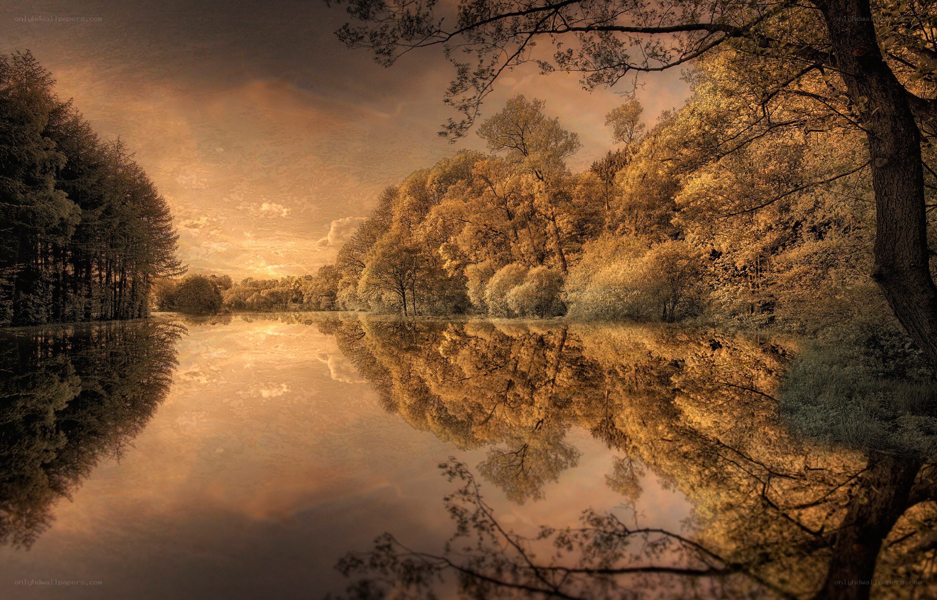 Autumn forest lake reflection