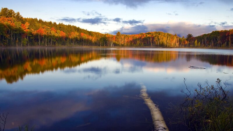 Autumn forest lake reflection