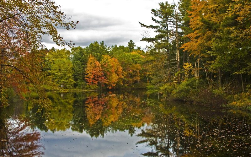 Autumn forest lake reflection