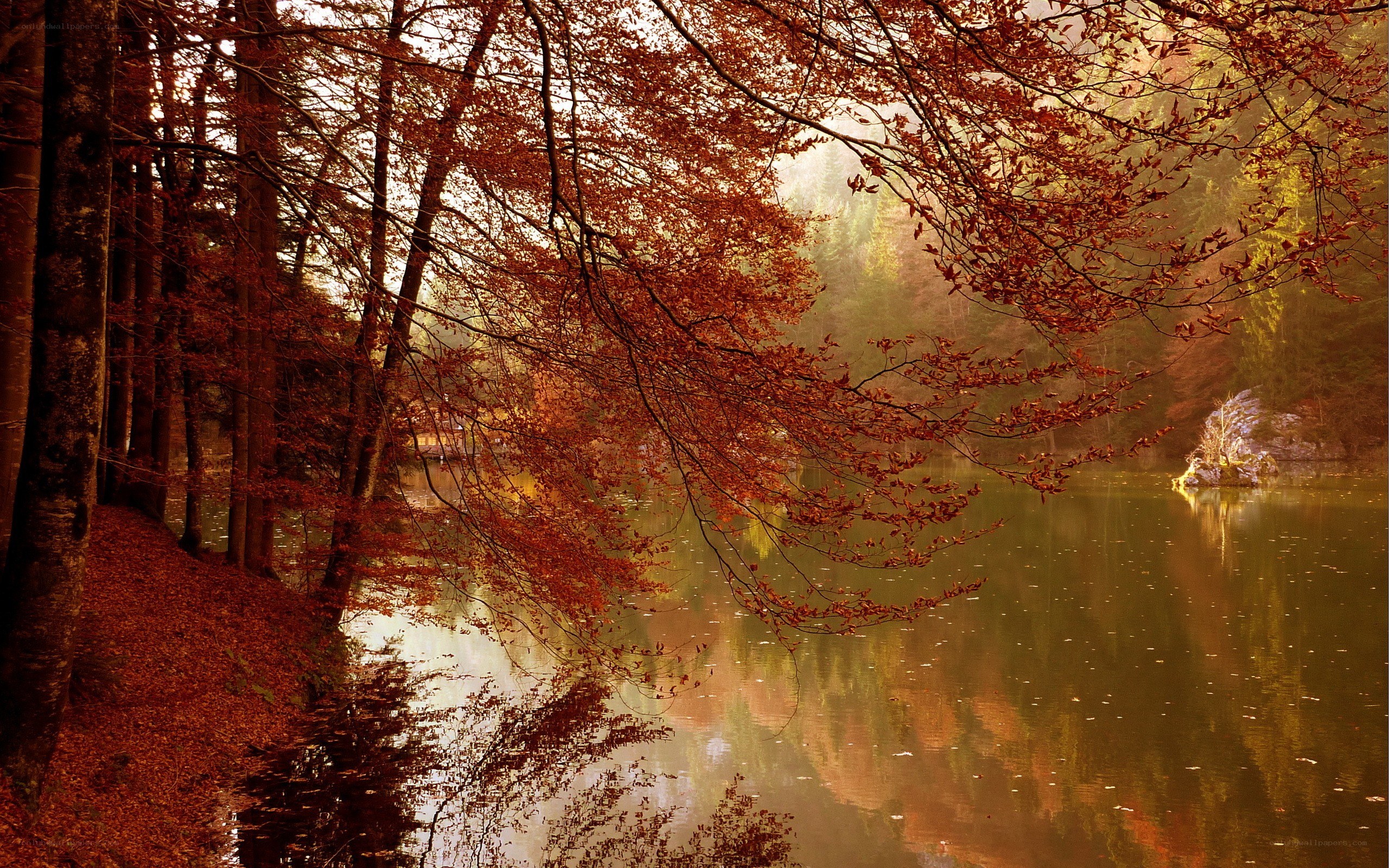 Autumn forest lake reflection