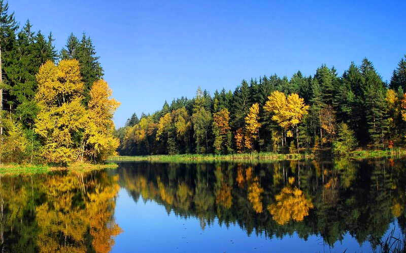 Autumn forest lake reflection