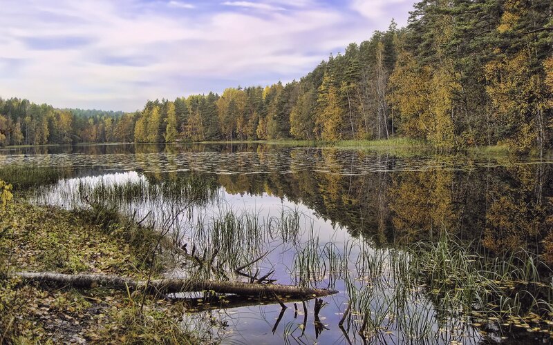 Autumn forest lake reflection