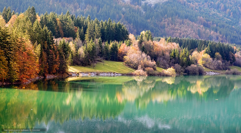 Autumn forest lake reflection