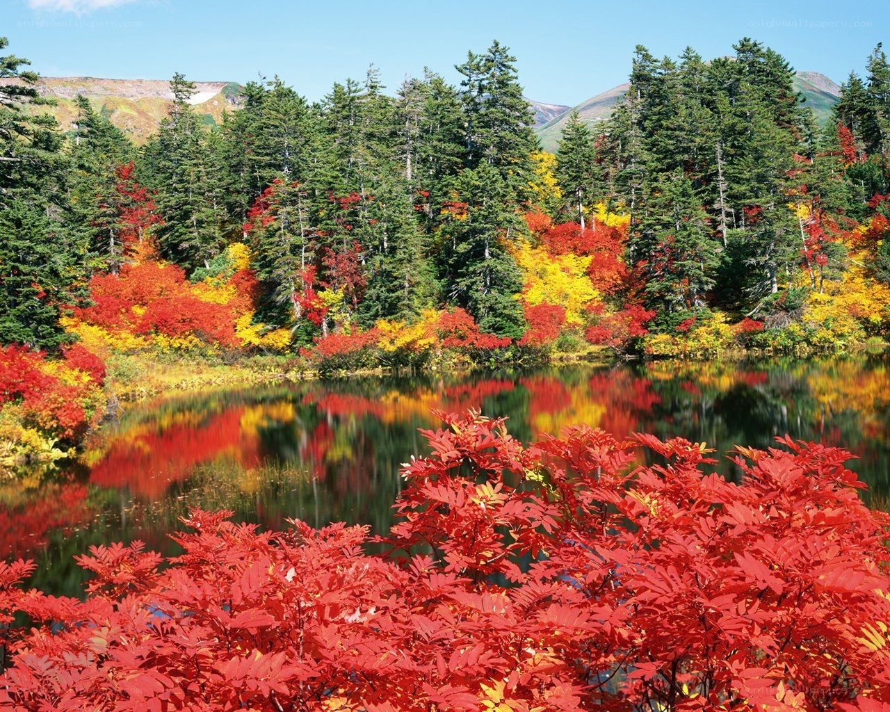 Autumn forest lake reflection