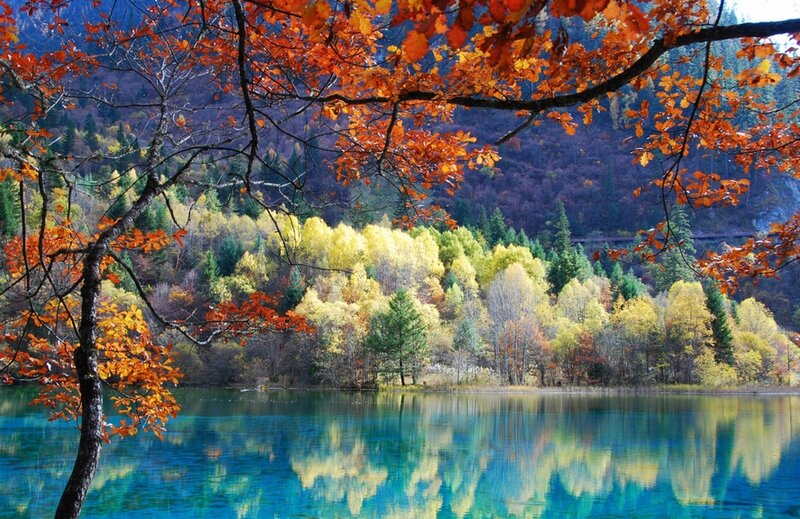 Autumn forest lake reflection