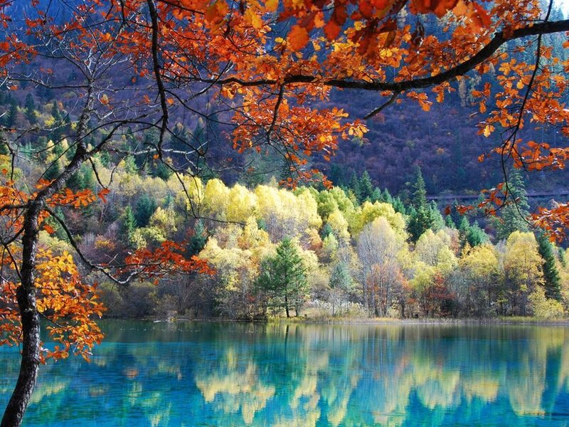 Autumn forest lake reflection