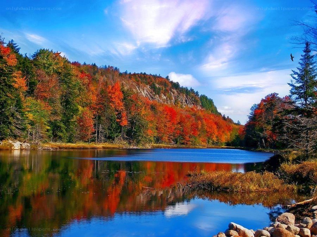 Autumn forest lake reflection