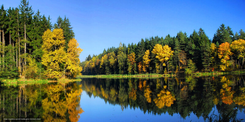 Autumn forest lake reflection