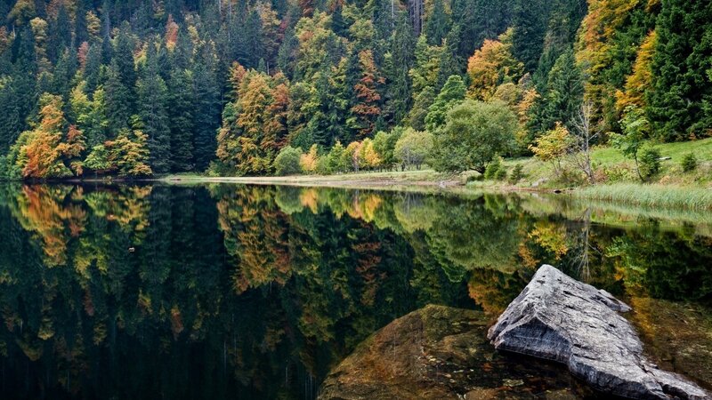Autumn Forest Lake — Rock
