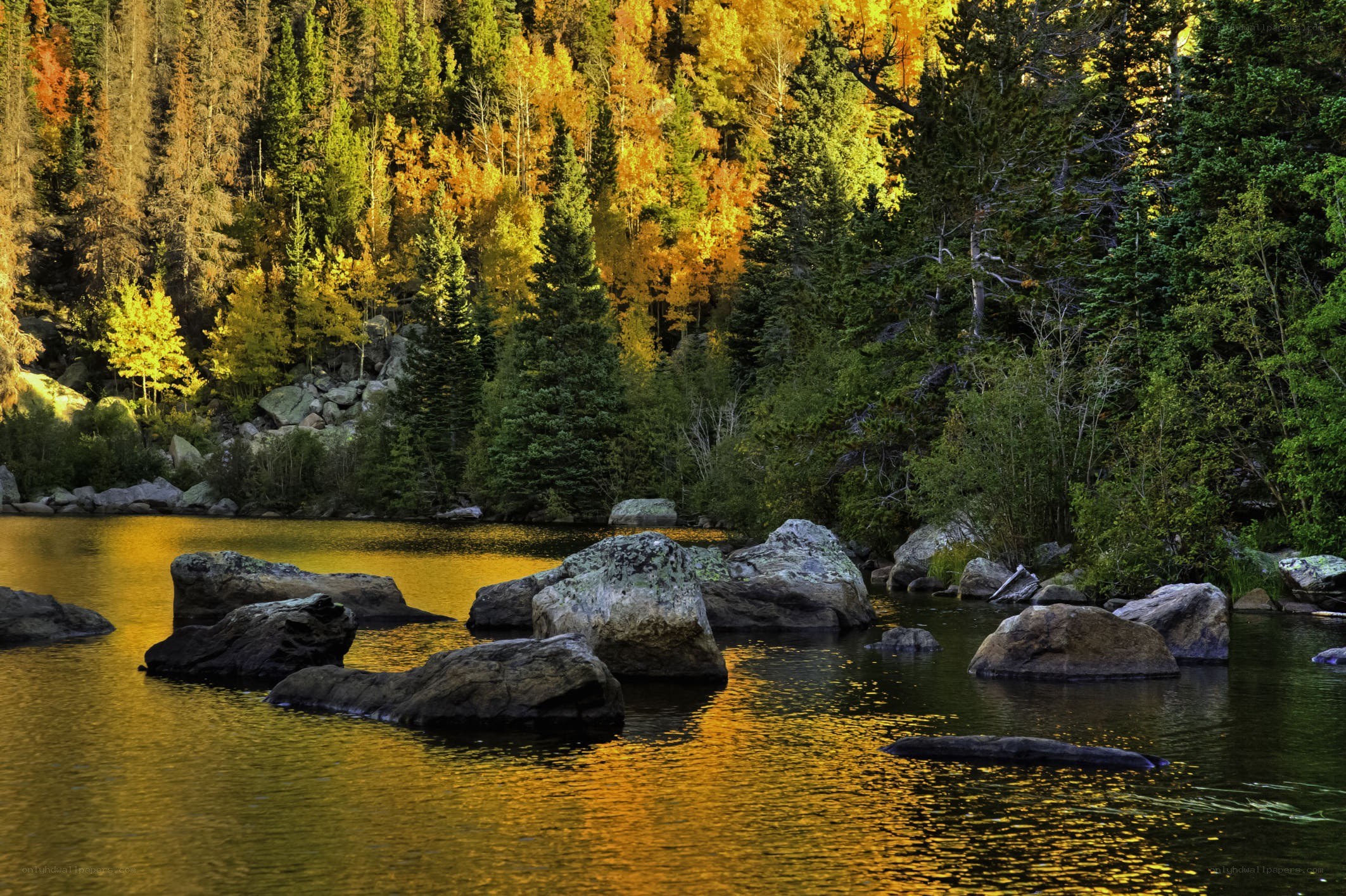 Autumn forest lake scene