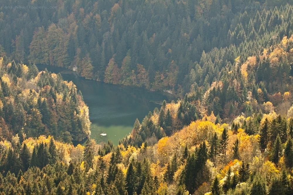 Autumn forest lake view
