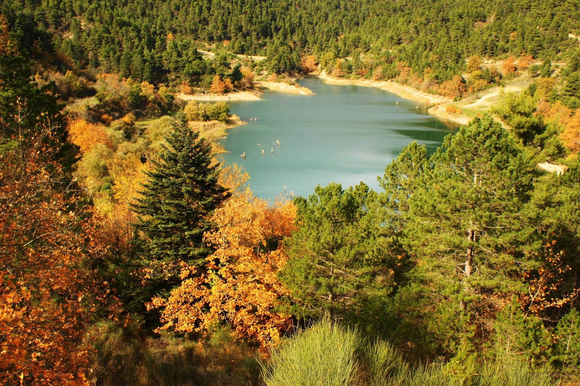 Autumn forest lake view