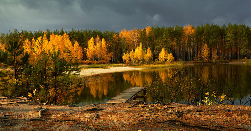 Autumn Forest Lake — Yellow, Dramatic, Photograph, Dock