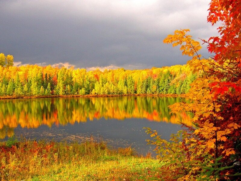 Autumn Forest Lake — Yellow, Dramatic