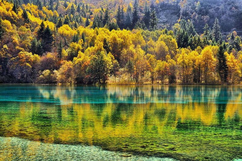 Autumn Forest Lake — Yellow, Serene, Photograph, Trees, Mountain, Reflection