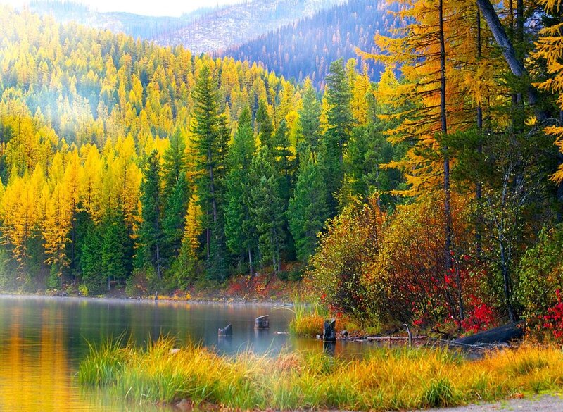 Autumn Forest Lake — Yellow, Serene, Photograph, Trees, Mountains, Grass