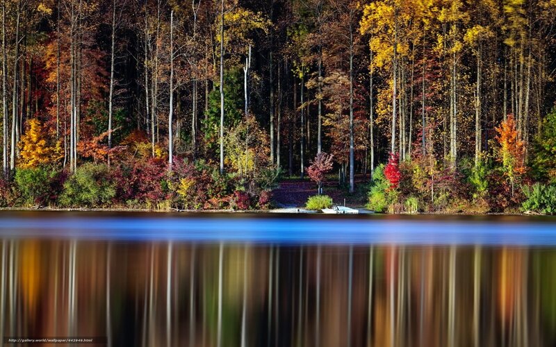 Autumn Forest Lake — Yellow, Serene, Photograph, Trees, Path