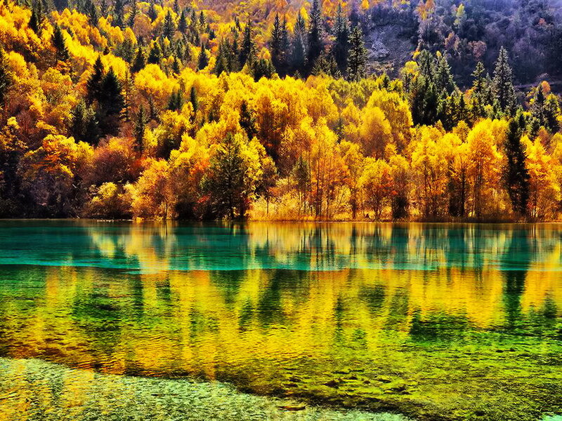 Autumn Forest Lake — Yellow, Serene, Photograph, Trees, Reflection, Mountain