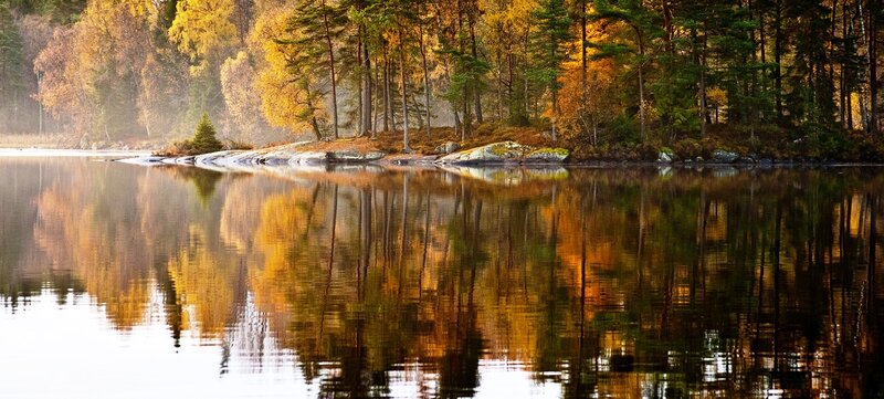 Autumn Forest Lake — Yellow, Serene, Photograph, Trees, Reflection, Rocks