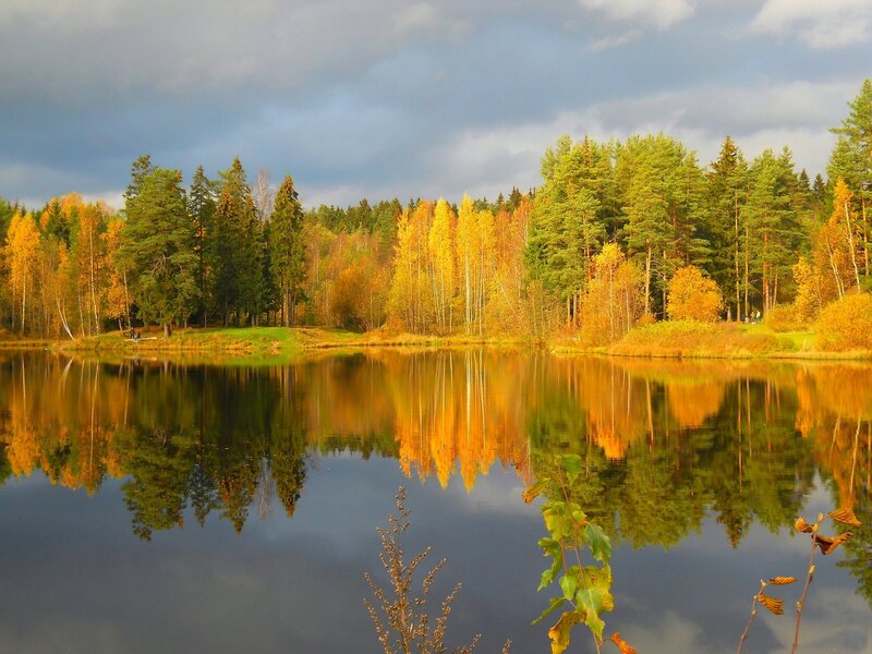 Autumn Forest Lake — Yellow, Serene, Photograph, Trees, Reflection, Sky