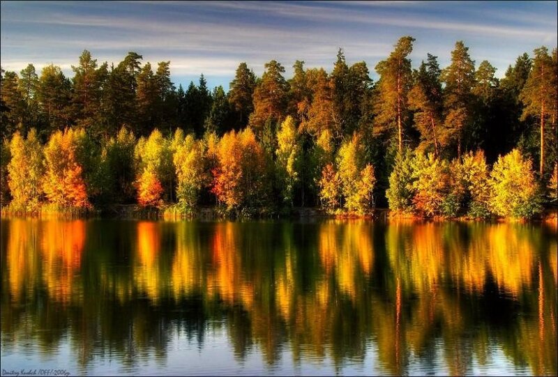 Autumn Forest Lake — Yellow, Serene, Photograph, Trees, Sky, Green