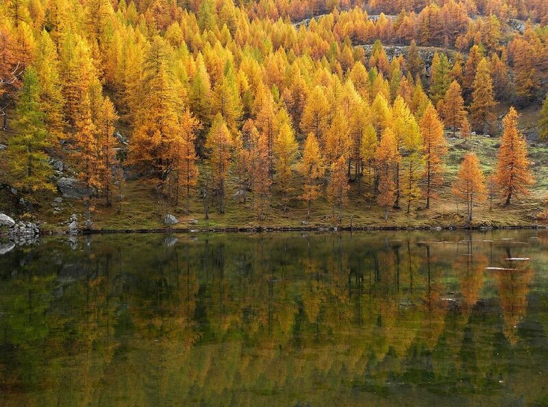 Autumn Forest Lake — Yellow, Serene, Photograph, Trees
