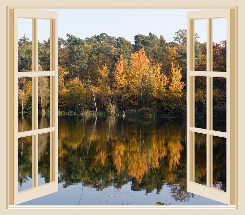 Autumn Forest Lake — Yellow, Serene, Photograph, Window