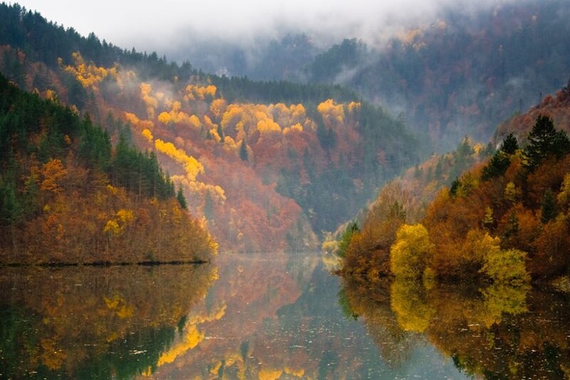 Autumn Forest Lake — Yellow