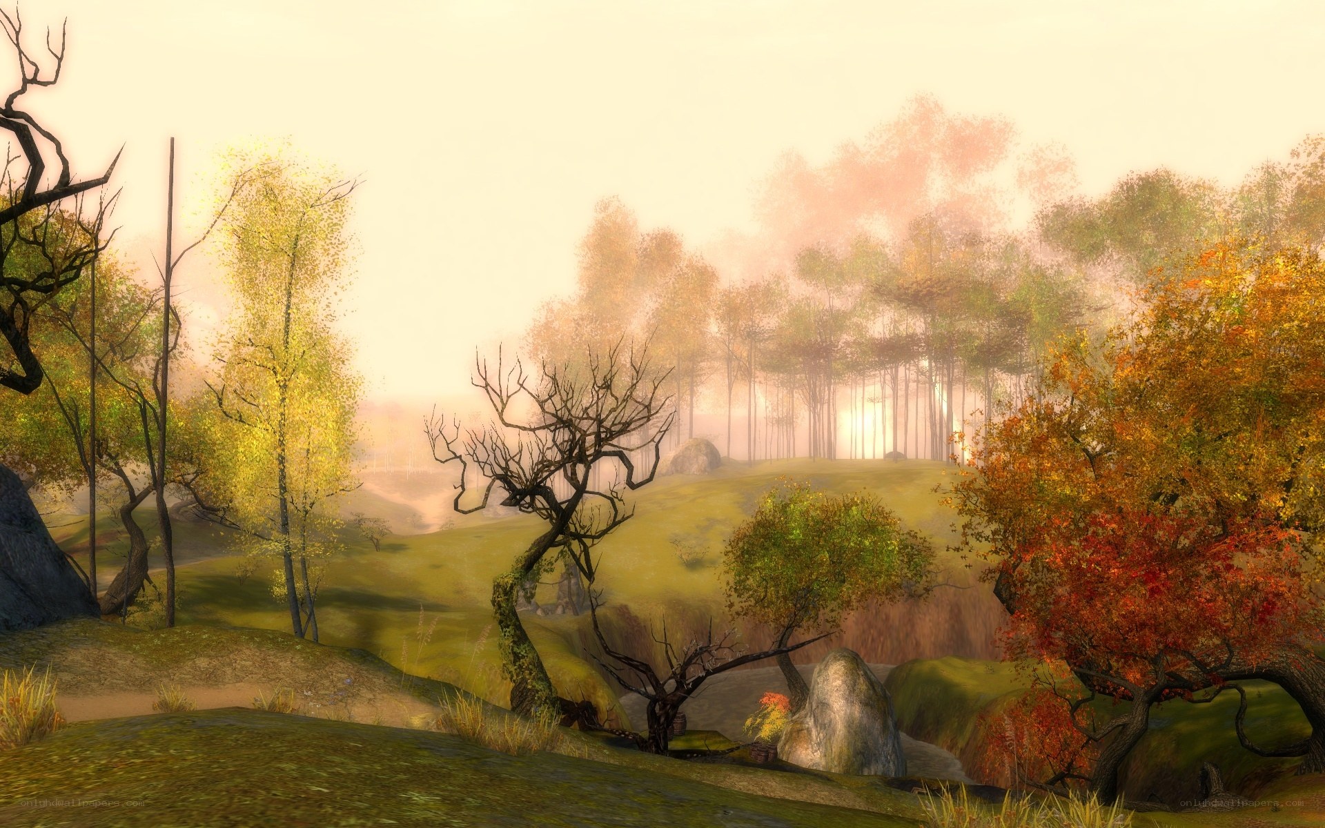 Autumn forest landscape