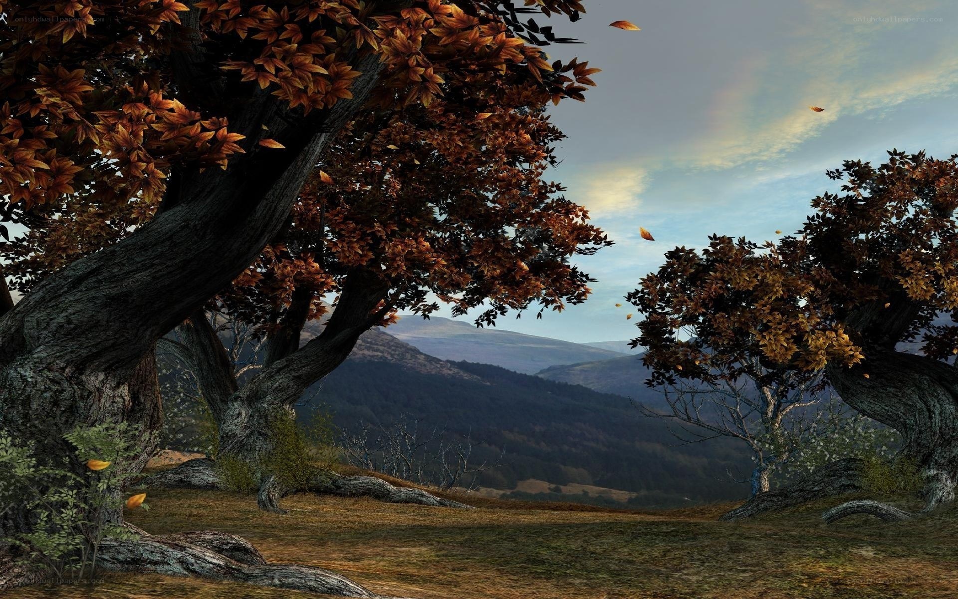 Autumn forest landscape
