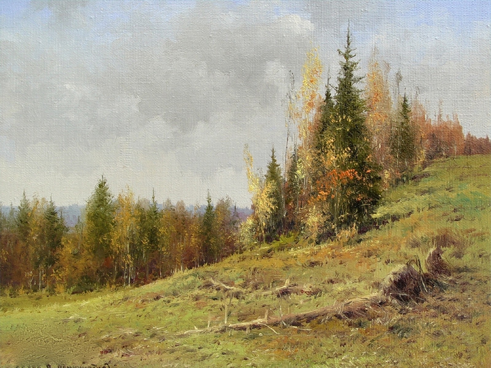 Autumn forest landscape