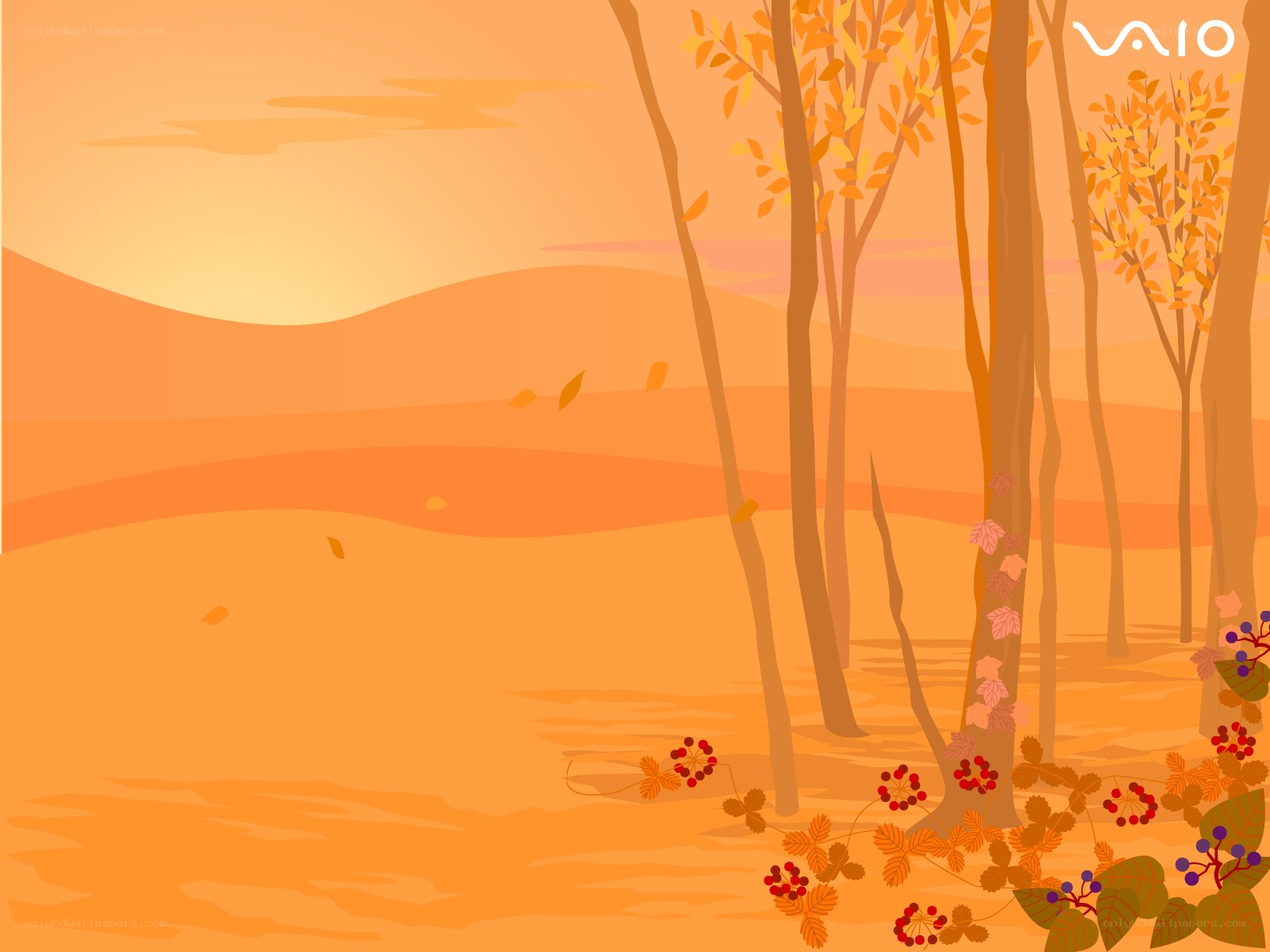 Autumn forest landscape