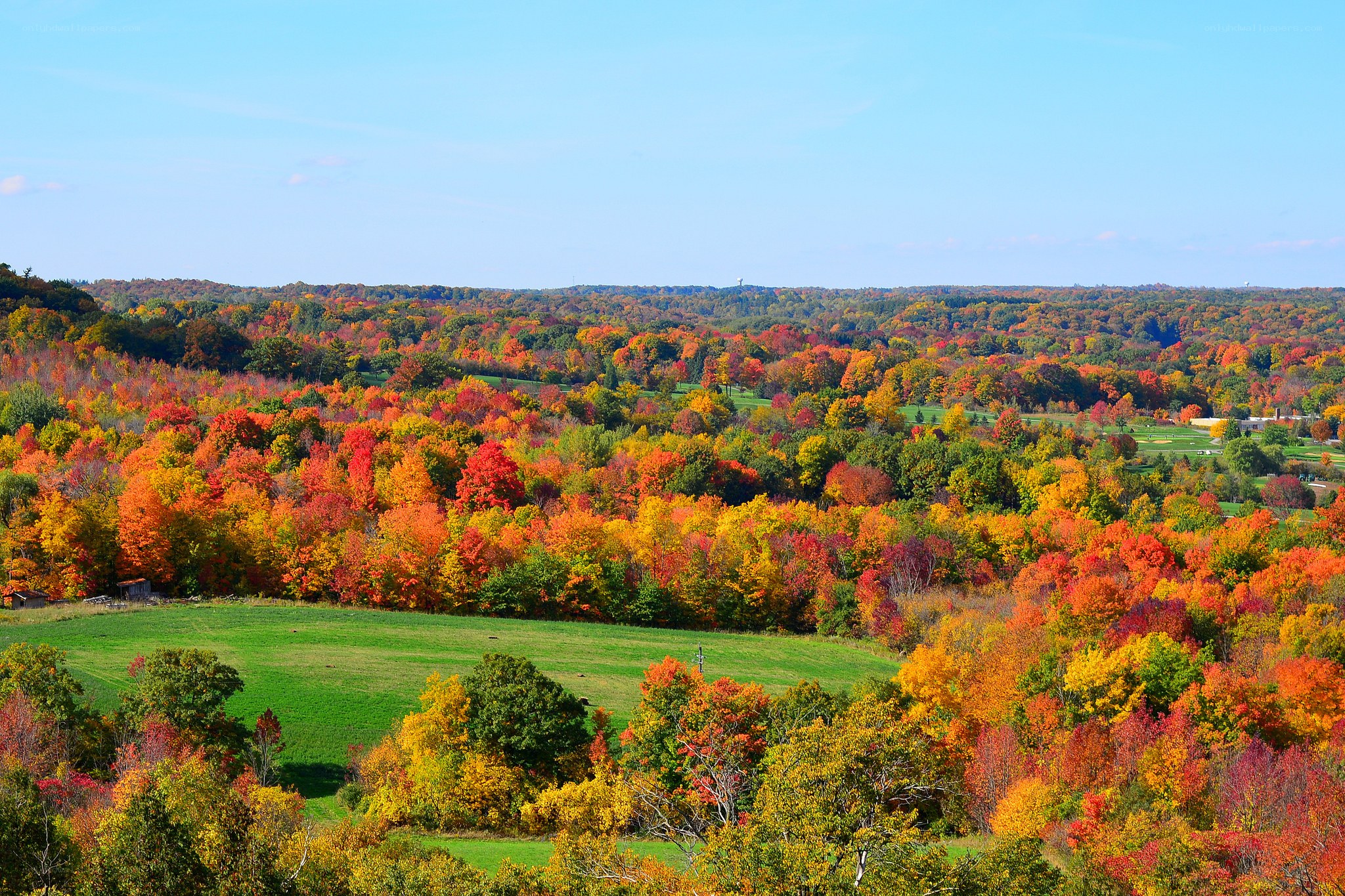 Autumn forest landscape