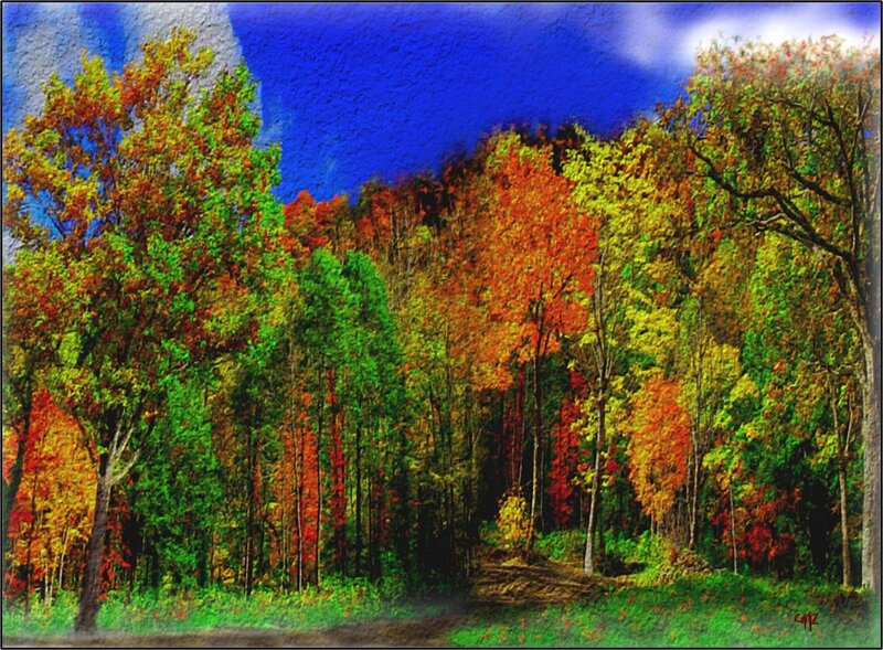 Autumn Forest Landscape — Blue, Vibrant