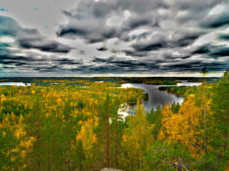 Autumn Forest Landscape — Green, Dramatic, Photograph