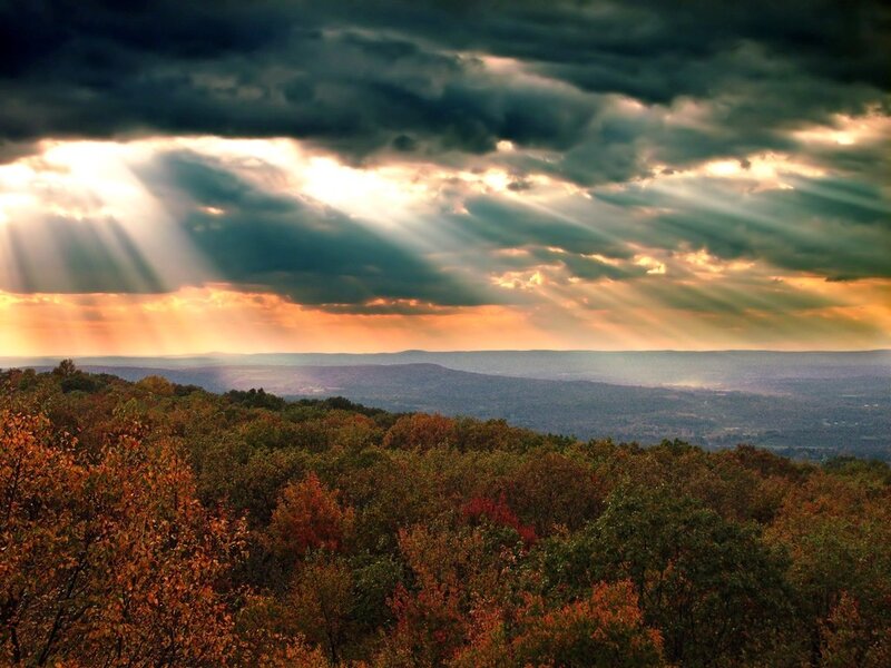 Autumn Forest Landscape — Green, Dramatic, Sunset