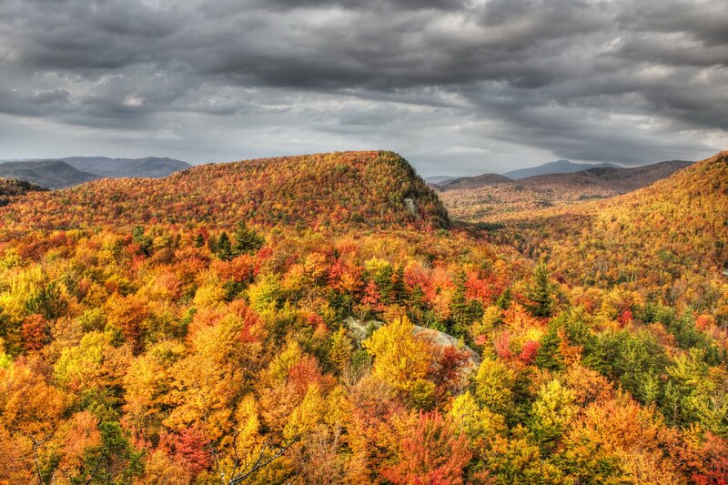 Autumn Forest Landscape — Orange, Dramatic, Photograph