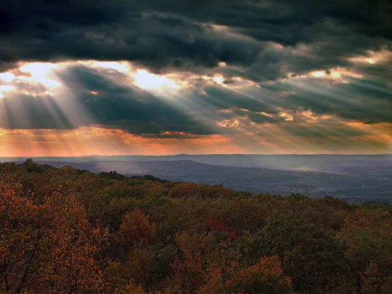 Autumn Forest Landscape — Orange, Dramatic, Sunset, Photograph