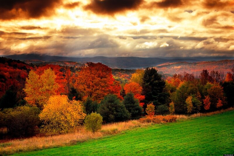 Autumn Forest Landscape — Orange, Dramatic, Sunset