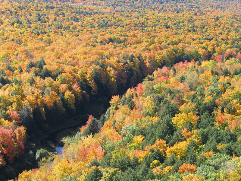 Autumn Forest Landscape — Orange, Serene, Photograph, River