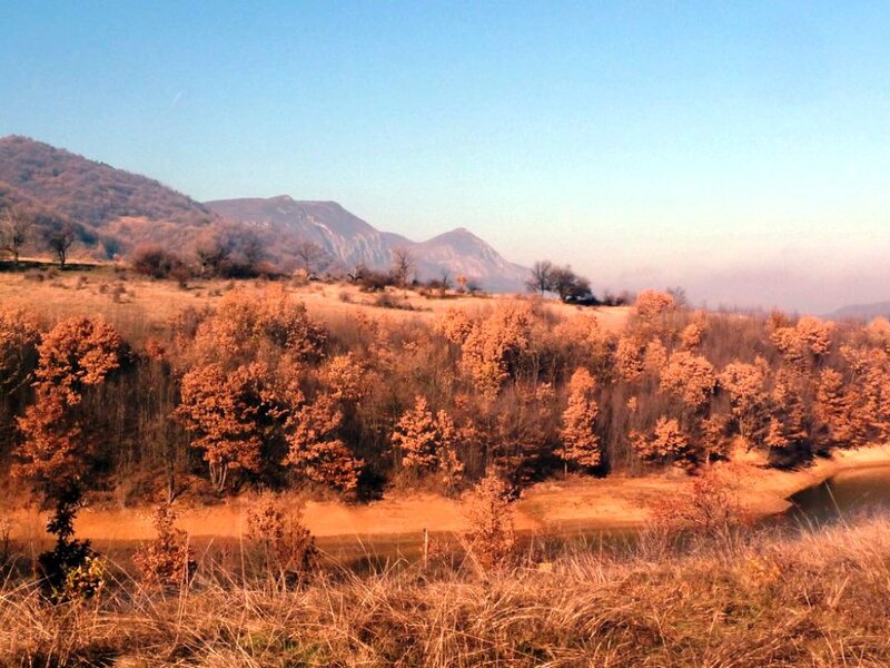 Autumn Forest Landscape — Orange, Serene, Photograph, Trees, Mountains