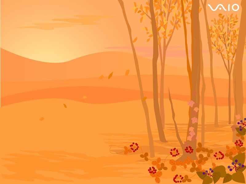 Autumn Forest Landscape — Orange, Serene, Sunset