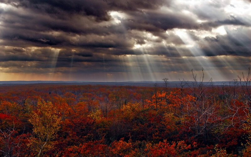 Autumn Forest Landscape — Red, Dramatic, Photograph