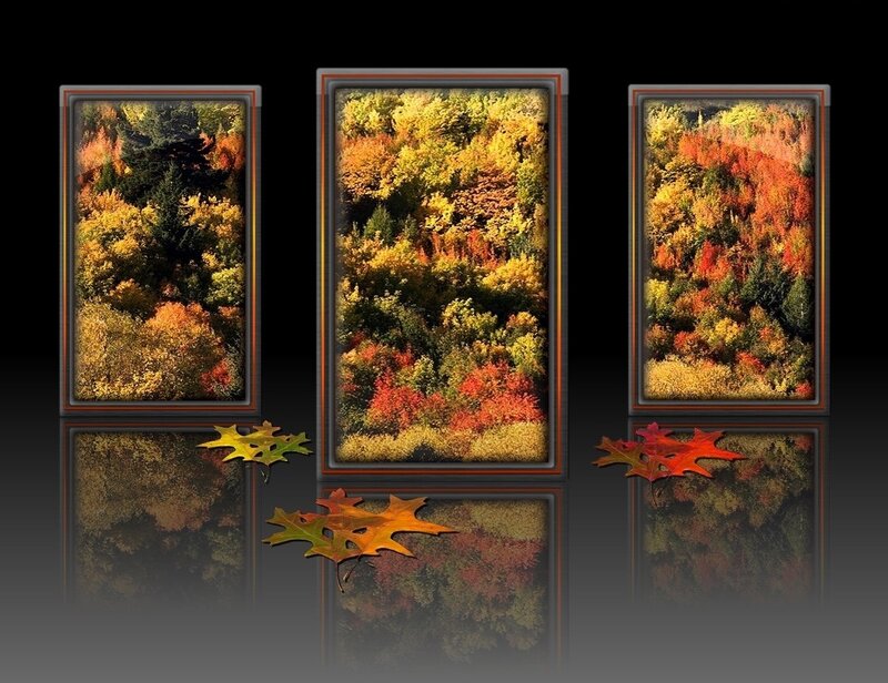 Autumn Forest Landscape — Red, Serene, Photograph, Framed Pictures