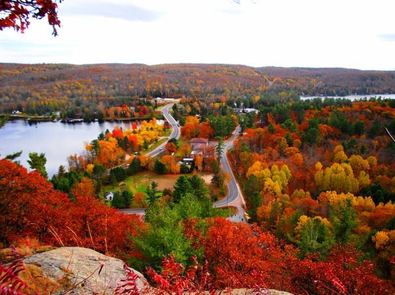 Autumn Forest Landscape — Red, Serene, Photograph