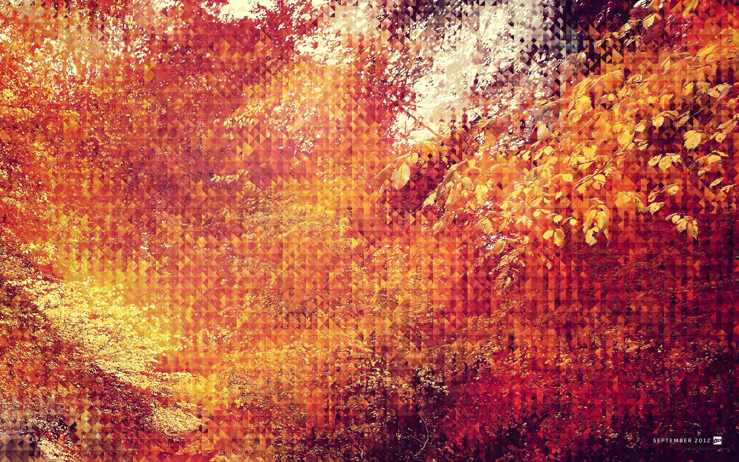 Autumn forest mosaic