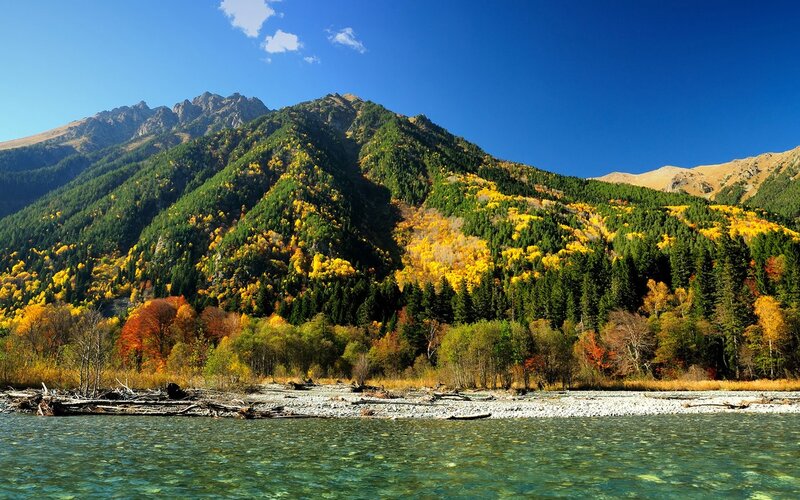 Autumn Forest Mountains — Blue