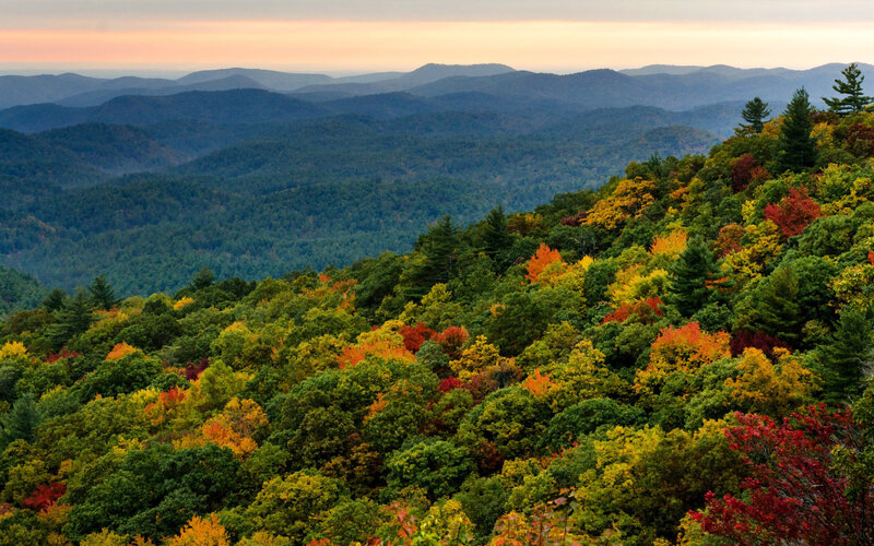 Autumn Forest Mountains — Green