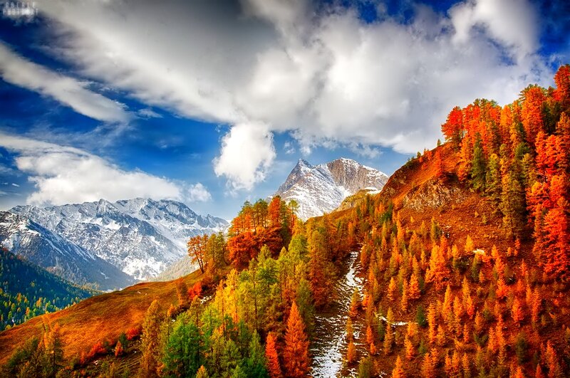 Autumn Forest Mountains — Orange, Dramatic, Photograph, Snow-capped Peaks, Clouds