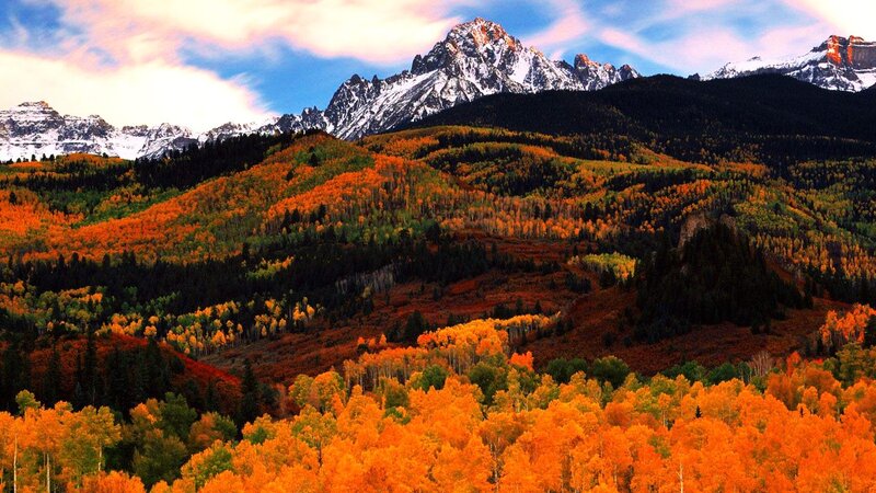 Autumn Forest Mountains — Orange, Dramatic, Photograph, Snow-capped Peaks